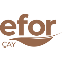 Efor