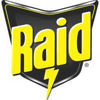 Raid