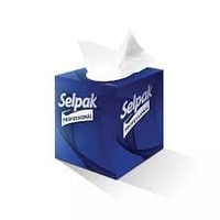 Selpak Prof Butik Kutu Mendil 48'Li x 24 Paket