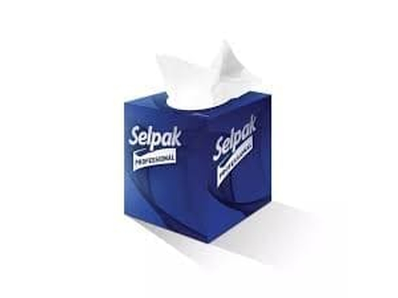 Selpak Prof Butik Kutu Mendil 48'Li x 24 Paket