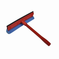 Ceymop Süngerli Cam Sil 21 Cm