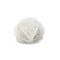 Ceymop Akordion Bone 100 Adet 